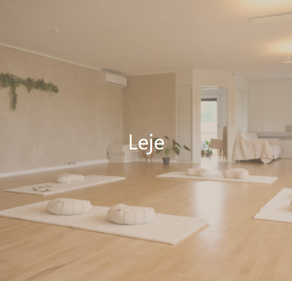 På billedet ser man et lokale som kan lejes i MILD Studio, og hvordan det alternativt kan anvendes