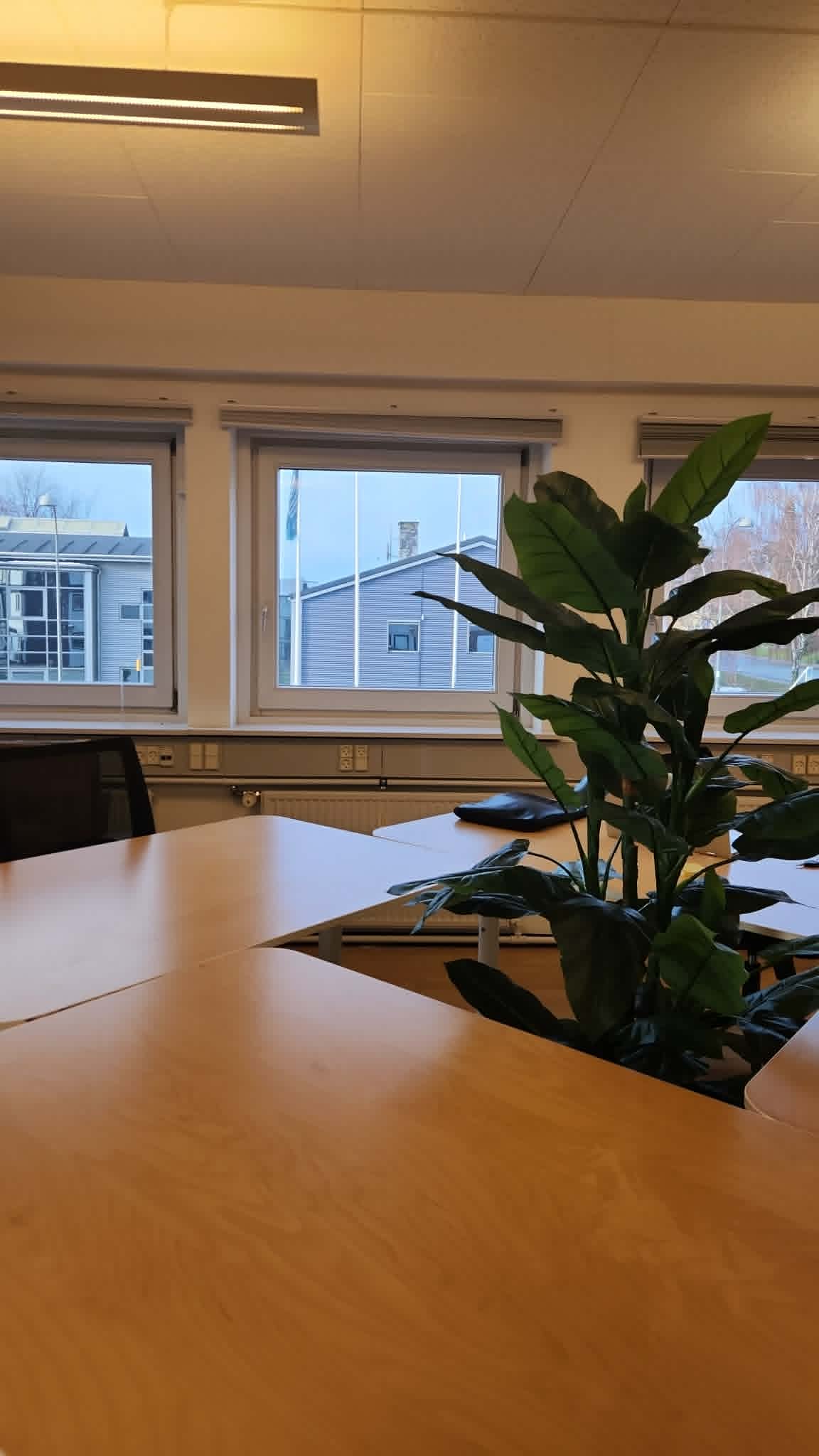 Billedet viser en kontorplads i MILDStudio